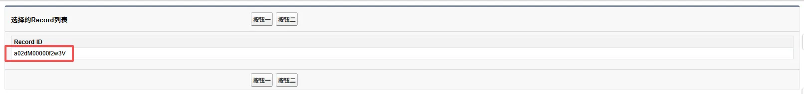 Selected records displayed on the Visualforce Page